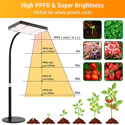 FECiDA Desk Grow Lights for Indoor Plants, Bonsai, Seed Starting, Seedlings | UV-IR In Full Spectrum, 25 Watt Power Draw, 16"-24" Height Adjustable, Simple Physical Switch, Plug and Play - size: TableTop-1Head-25W-OnOff