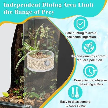 Jumping Spider Magnetic Water Feeding Dish for Small Pets | Magnetic Water Bowl with Dropper & Tweezer-Tiny Food Dishes Water Dish for Jumping Spider, Tarantula & Other Small Pets