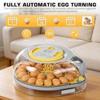 IBKINXX 26 Egg Incubator for Hatching Eggs - Smart Voice Guidance | 360° View with Automatic Temp & Humidity Control, Auto Egg Turning & Built-in Egg Candler for Chicken, Duck, & Quail
