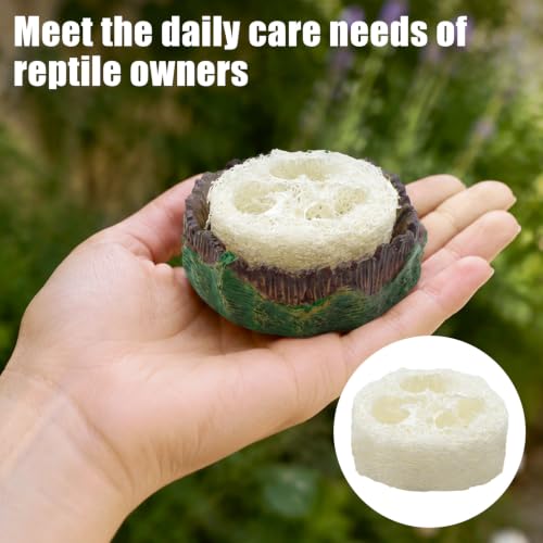 Cockroach Water Basin with 4 Loofah Set, Dubia Roach Water Dish, Dubia Roach Container for Roaches, Mealworms, Crickets, Isopods