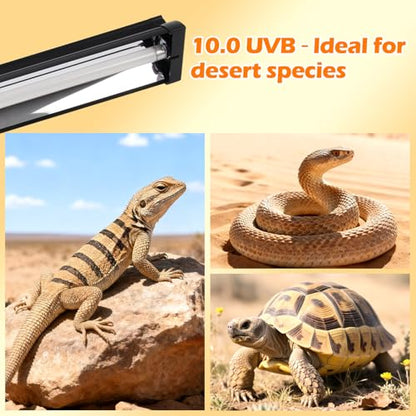 T5 UVB Reptile Light Fixture Combo Kit 8W 10.0 – Complete HO UVB Light for Reptiles with 12.44" Terrarium Hood, Desert UVB Bulb for Bearded Dragon Gecko Tortoise Lizard – Easy to Install and Use - size: 10.0-12.44 in
