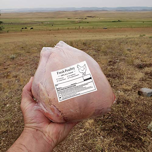 Poultry Freezer Labels 4x3 Inches 50 Pcs | with Handling Instructions Exemption