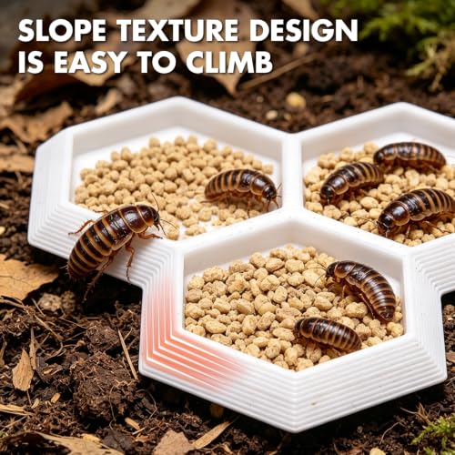 Dubia Roach Large Feeder Bowl, 5 PCS Isopod Food Dish, 3 in 1 Colorful Feeding Water Dish for Live Roach, Isopod, Springtails & Dwarf Invertebrates - color: 5 PCS Dubia Feeding Dish