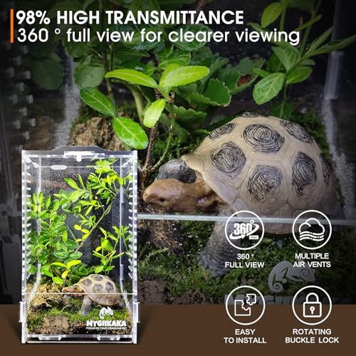 Acrylic Jumping Spider Habitat, Insect Terrarium, Bug Enclosure, Praying Mantis Habitat, Frog Enclosure - size: Small