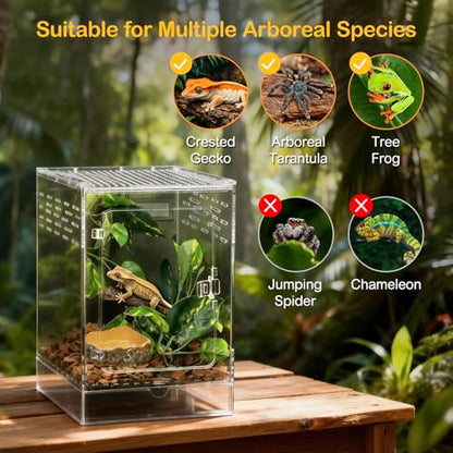 Reptile Terrarium,6" x 6" x 10" Tall PC Starter Crested Gecko Tank | Vertical Reptile Ventilation Enclosure with Accessories for Arboreal Tarantula Cribs,Tree Frog Cage,Small Reptiles Habitat - size: 6*6*10inch