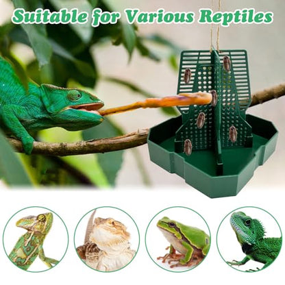 2PCS Reptile Hunting Bowl,4.4"×4.4"×4.7" H Insect Feeding Box with Rope and Tweezers Chameleon Feeder Bowls Hanging Bearded Dragon Bug Bowls Mounted Insect Reptile Feeder Box (Green,Small) - color: Green, size: Small:4.4"L×4.4"W×4.7"H