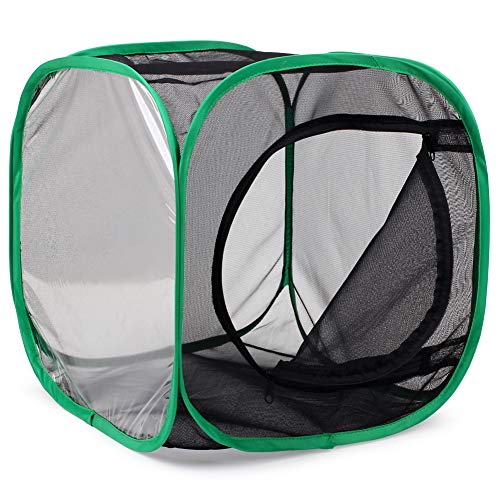 RESTCLOUD Insect and Butterfly Habitat Cage Terrarium Pop-up 12 X 12 X 12 Inches - color: Black With Green, size: 12 x 12 x 12 inches