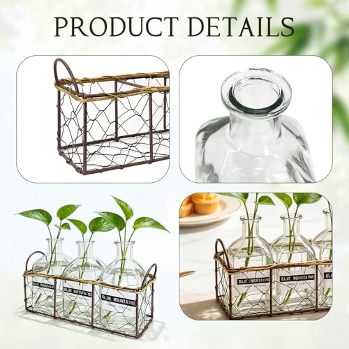 Plant Propagation Stations with Metal Stand, Willow-Woven Wire Mesh Retro Glass Planter for Hydroponic Propagating, Desktop Terrarium Flower Vase for Home Kitchen Office Decor Gifts, 3 Jars