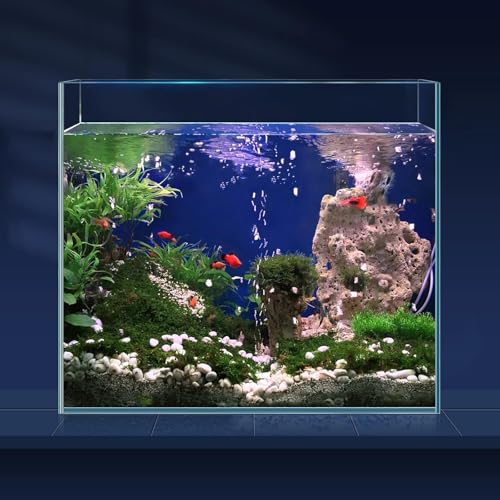 LAQUAL 6.5 Gallon Ultra Clear Glass Fish Tank, Rimless Low Iron Aquarium for Betta/Nano/Goldfish/Snail/Shrimp, Fish Tank & Cover Set & Feeding Ring & Cleaning Tools - color: 6.5 Gal