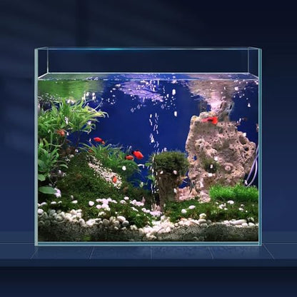 LAQUAL 6.5 Gallon Ultra Clear Glass Fish Tank, Rimless Low Iron Aquarium for Betta/Nano/Goldfish/Snail/Shrimp, Fish Tank & Cover Set & Feeding Ring & Cleaning Tools - color: 6.5 Gal