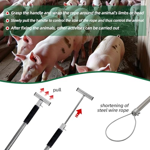 Dog Catcher Pole Holder Animal Control Tool Heavy Duty Stainless Steel Catch Pole for Trapping for Dog Pig Swine Animal Livestock, Rod Length 30 inches