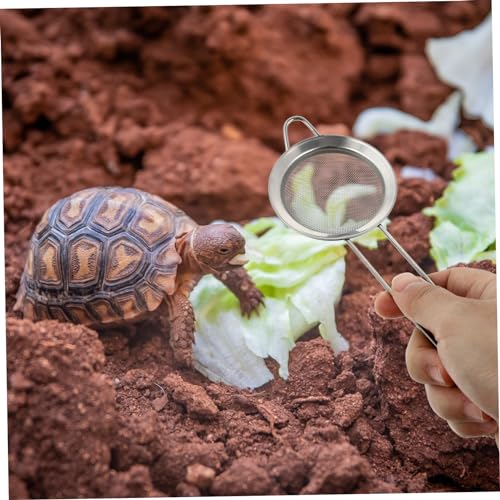 BESPORTBLE Reptile Sand Substrate Scoop 2Pcs Stainless Steel Silver Shovel | Ergonomic Handle Design, Sift out Droppings, for Snake Reptile Terrarium Substrate Cleaning Tool Kit Set