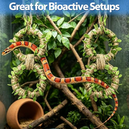 Harhana 12-Piece Snake Climbing Rings, Natural Wooden Rings for Corn Snake & Ball Pythons, Reptile Enclosure Accessories