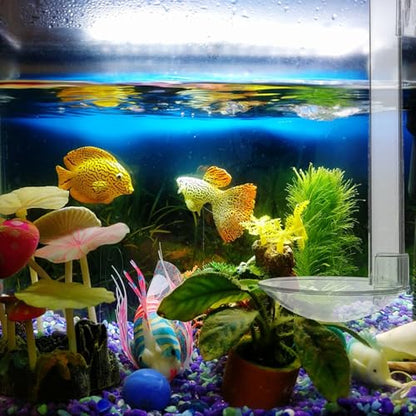 GALPADA Acrylic Fish Tank Feeder Tube with Floating Feeding Ring and Cleaning Brush 15cm Shrimp Aquarium Feeding Tool for Fish and Shrimp