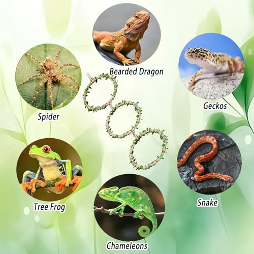Snake Climbing Rings for Ball Python- Enclosure Accessories – Reptile Habitat Decor, Climbing Branches & Bedding for Ball Python, for Corn Snake Enhancement Ring Toys