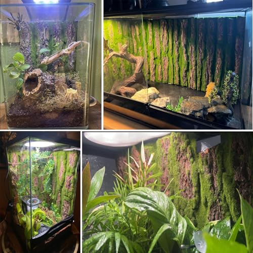 kathson Reptile Cork Terrarium Background Decor,Habitat Fitting Bark Backdrop Wall Artificial Moss 3D Aquarium Panel for Lizard Gecko Tortoise Spider Bearded Dragon Chameleon Snake Amphibian(2Pcs)