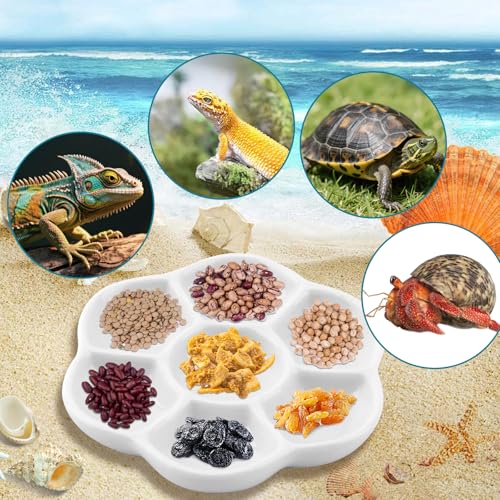Hermit Crab Food Dish, 3 Pcs Mini Ceramic Hermit Crab Feeding Dish Tiny Reptile Water Bowl with 7 Compartments for Snail, Gecko, Lizard, Aquarium Accessory