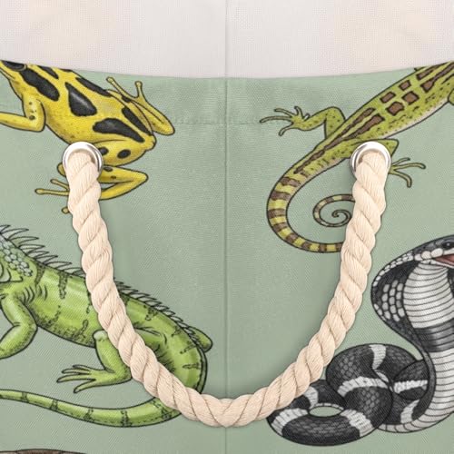 Large Storage Baskets - Reptiles Amphibians Lizards Nursery Round Collapsible Organizer Bin Box, Laundry Hamper for Kids Toys, Blanket, Bedroom Living Room Home Decor, Gift Basket, 19.4"x13.3"