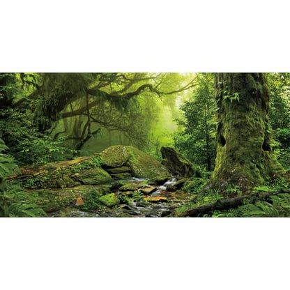 Forest Green Tree Terrarium Backdrop Reptile Habitat Background 36x18 in | AWERT Tropical Foggy Rainforest Stream Aquarium Durable Polyester Background - size: 36 x 18 inches