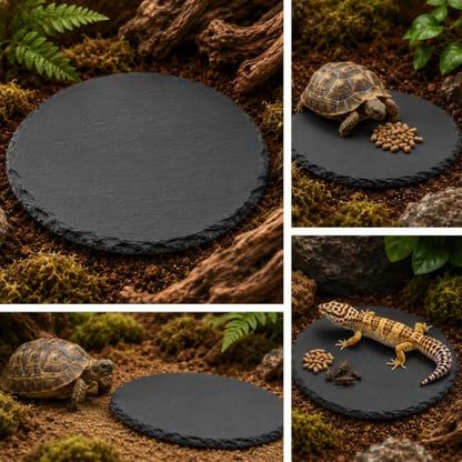 Reptile Basking Platform 5.9 X 5.9 Inch Slate Tortoise Rock Plat | Food Bowl Feeding Dish Tortoise Bathing Resting Terrace Habitat Decor for Turtle Lizard Bearded Dragon Crested Gecko Snake