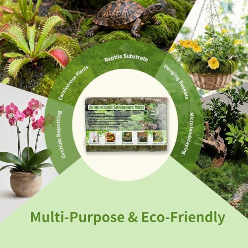 Compressed Sphagnum Moss for Plants & Reptiles (1pc)– Dried Peat Moss, Moisture-Retentive for Indoor Plants, Orchids, Terrariums, Reptile Bedding (100% Natural, Reptile-Safe - size: 1PCS