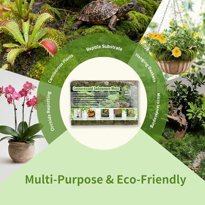 Compressed Sphagnum Moss for Plants & Reptiles (1pc)– Dried Peat Moss, Moisture-Retentive for Indoor Plants, Orchids, Terrariums, Reptile Bedding (100% Natural, Reptile-Safe - size: 1PCS