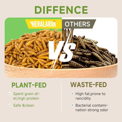 30LB Non-GMO Black Soldier Fly Larvae for Chickens 45% Protein High Calcium Chicken Feed Alternative to Mealworms, Dried BSF Larvae Chicken Treats for Laying Hens Ducks Birds Reptiles - size: 30 Pound (Pack of 1)