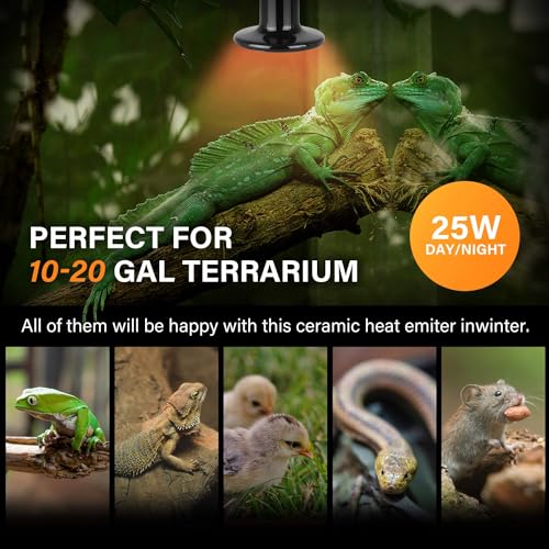 Simple Deluxe 25W Ceramic Heat Emitter Reptile Heat Lamp Bulb No Light Emitting Brooder Coop Heater for Amphibian Pet & Incubating Chicken, 2 Pack - size: 25 Watts