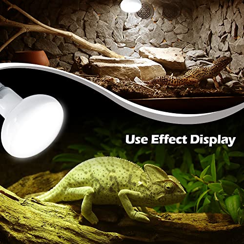 Reptile Heat Lamp 75W 2 Pack,UVA Basking Light Bulbs,Natural Daylight Terrarium Heat Lamps for Bearded Dragon Accessories,Turtle,Tortoise,Lizard,Snake,Gecko,Chicken with Temperature Strips
