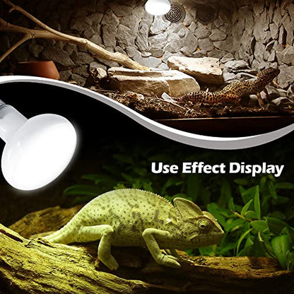 Reptile Heat Lamp 75W 2 Pack,UVA Basking Light Bulbs,Natural Daylight Terrarium Heat Lamps for Bearded Dragon Accessories,Turtle,Tortoise,Lizard,Snake,Gecko,Chicken with Temperature Strips