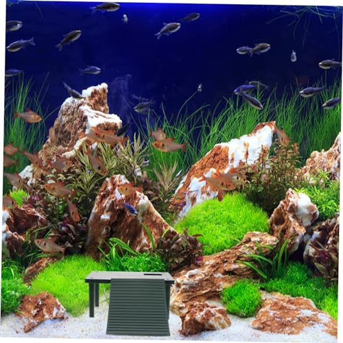 Toddmomy Decorative Turtle Platform Climbing Surface for Fish Tank Landscaping Basking Area for Water Turtles Frogs and Lizards Easy Tool Installation