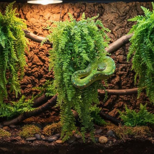 PINVNBY Reptile Plants Hanging Fake Vines Boston Climbing Terrarium Plant with Suction Cup for Bearded Dragons Lizards Crested Gecko Snake Hermit Crab and Tank Habitat Decorations (2 Pack) - size: 2 PCS