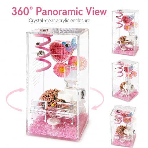 Jumping Spider Enclosure,DIY Insects Habitat,Small Reptile Terrarium Glass House Accessories Set,with Jumping Platform Hide Water Feeder (Pink B) - color: Pink B