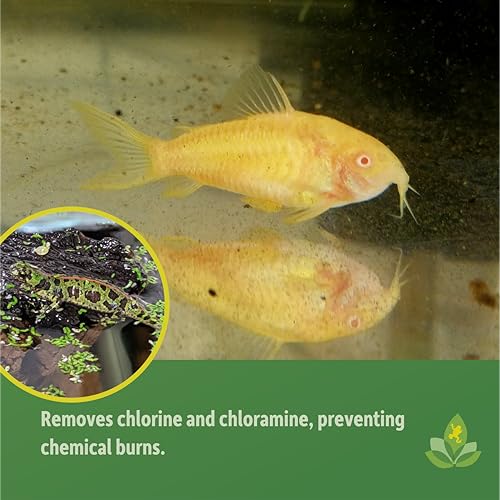 Josh's Frogs Dechlorinator Tap Water Conditioner (4 oz) - size: 4 Oz