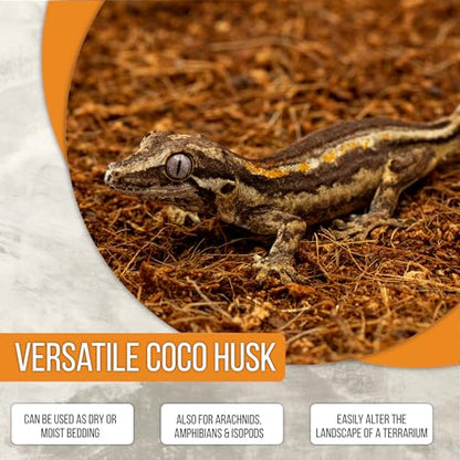 ReptiEarth Reptile Bedding, Fluffy Coconut Fiber Substrate Organic Coco for Bioactive Snake Terrarium, Lizard Tanks with Plants, for Frog Habitat, Tarantula or Hermit Crab Enclosure (72 Quart Block) - size: 1 Breeder Block