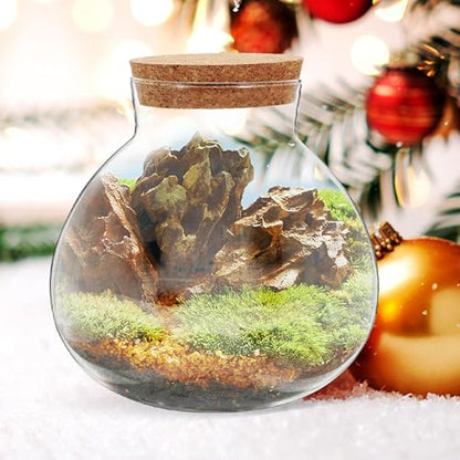 Glass Terrarium Jar with Cork Lid for Micro Landscape Plants, 13cm Round Ecosystem Bottle Suitable for Succulent, Moss, and Desk Display