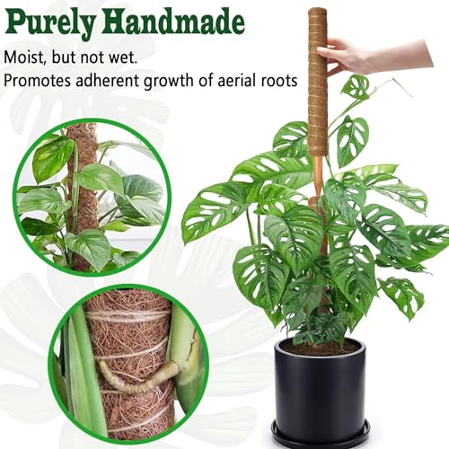 4 Pack 18 Inch Moss Pole, Stackable Moss Poles for Climbing Plants Monstera, Tall Plant Sticks Accessories, Large Coir Plant Support Stakes for Potted Plants Indoor, Pothos, Philodendron - size: 4 pack 18in