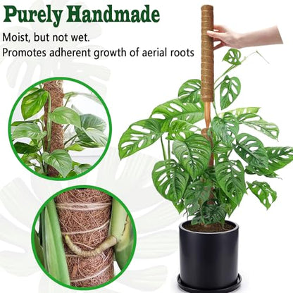 4 Pack 18 Inch Moss Pole, Stackable Moss Poles for Climbing Plants Monstera, Tall Plant Sticks Accessories, Large Coir Plant Support Stakes for Potted Plants Indoor, Pothos, Philodendron - size: 4 pack 18in