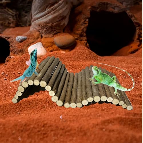 Hermit Crab Hideout, Hermit Crab Climbing Toys, Wooden Reptile Hideout, Climb Bridges for Lizard Chameleon Hamster Rats Chinchilla Guinea Pig Rabbit Bearded Dragon (4 x 8 inches)
