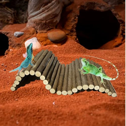 Hermit Crab Hideout, Hermit Crab Climbing Toys, Wooden Reptile Hideout, Climb Bridges for Lizard Chameleon Hamster Rats Chinchilla Guinea Pig Rabbit Bearded Dragon (4 x 8 inches)