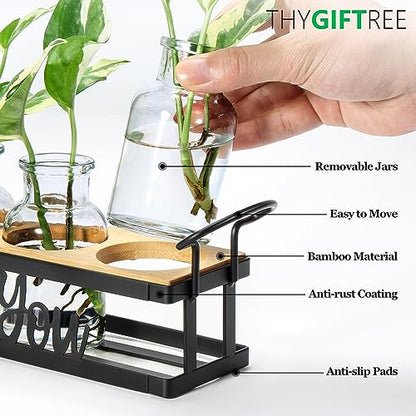 THYGIFTREE Plant Propagation Stations, for Plant Lovers Rooting for You Propagate Jars for Hydroponic Cuttings Propagating Vase - color: Black – 5 Tray Letter