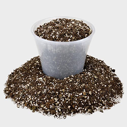 Premium African Violets and Gesneriad Premium Soil Mix by Gardenera - Horticultural Perlite (25%) + Vermiculite (25%) + Sphagnum Peat Moss (50%) - Made in USA - (1 Quart Bag) - color: AFRICAN VIOLETS SOIL, size: 1 Quart