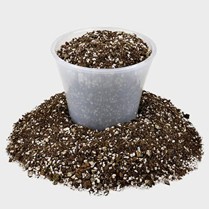 Premium African Violets and Gesneriad Premium Soil Mix by Gardenera - Horticultural Perlite (25%) + Vermiculite (25%) + Sphagnum Peat Moss (50%) - Made in USA - (1 Quart Bag) - color: AFRICAN VIOLETS SOIL, size: 1 Quart