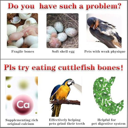 3.9-4.5'' Cuttlebone for Parakeets Cuttlebone for Birds - 100% Natural Cuttlefish Bone Bulk Chew Toy Bird Bites Calcium Stone for Canaries Tortoises,Snails,Reptiles,Parrots,Cockatiel-30PCS - size: 30PCS