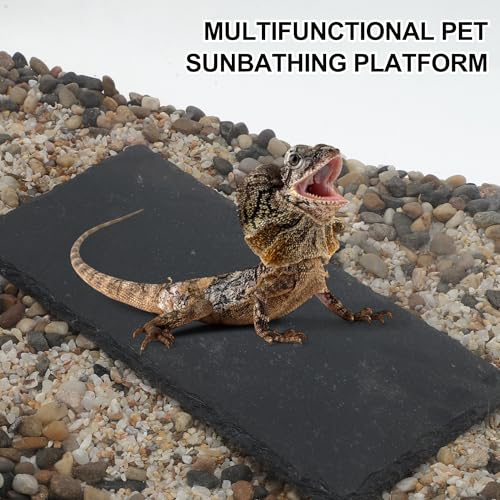 Reptiles Slate Rocks, Basking Surface Reptile Basking Platform, Enhances Climbing Activity, 9.84"x4.72", Black Gray - size: 9.84"x4.72"