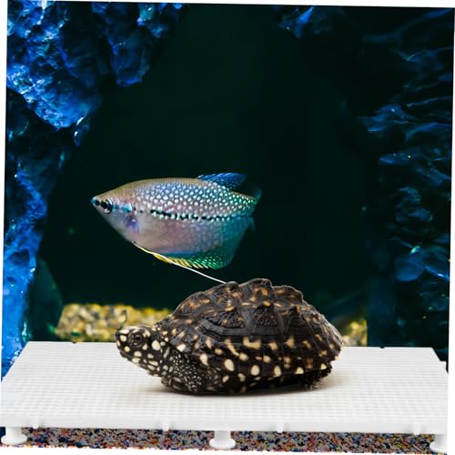 TOYANDONA 1set Aquarium Divider Boards Fish Tank Isolation Panels Support Easy Installation Fish Separation Prevents Debris Filtration System for Tortoise and Reptile Basking
