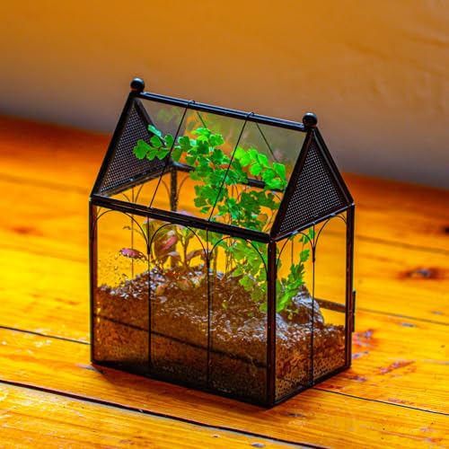 NCYP Small Glass Terrarium Enclosure with Mesh for Jumping Spiders, Micro House Shaped Small Spiders Vented Glass Terrarium, Home Decor Black, 5.8" x 3.8" x 7" (No Plants) - size: 5.8" x 3.8" x 7"