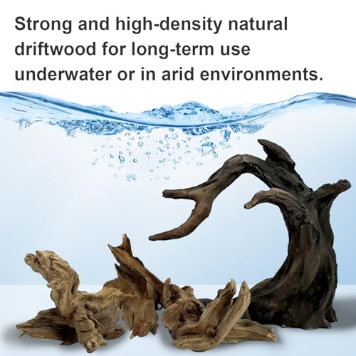 Aquarium Driftwood Decor Set - 1 Anubias Resin Model & 3Pcs Small Natural Driftwood 2-4 inch for Aquascaping, Fish Tank Landscape Design