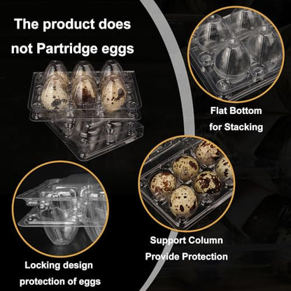 300 Pack Quail Egg Cartons, Clear Plastic Quail Egg Trays, Holds up to 6 Quail Eggs Securely - Your Ultimate Small Eggs Carton Holders for Bulk Storage and Display - size: 300 Pack Quail Egg Cartons 6 Grids