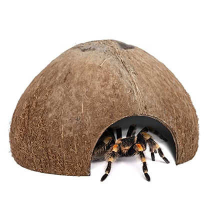 2 Pack Natural Coconut Reptile Hideouts, Lizard, Spider and Aquarium Fish Hide Cave (Natural Surface) - color: Natural Surface